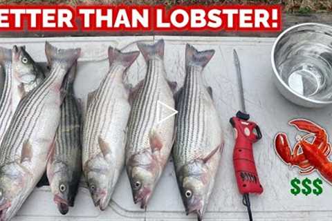 The FISH That Tastes BETTER THAN LOBSTER!!! -- CATCH & COOK it THIS WAY! (AMAZING)