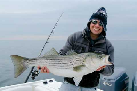 South Jersey’s Striped Bass Revolution