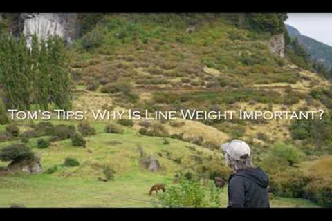 What Is Line Weight And Why Is It Important?