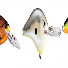 The Ultimate Guide to Crankbait Fishing
