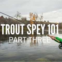 Trout Spey Part 3 - Technique Tips