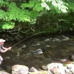 Fly Fishing the Doe River at Roan Mountain State Park