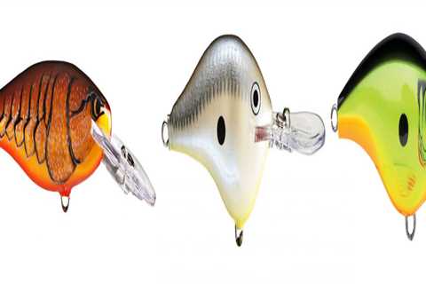 The Ultimate Guide to Crankbait Fishing