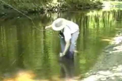 Fly Fishing strikes