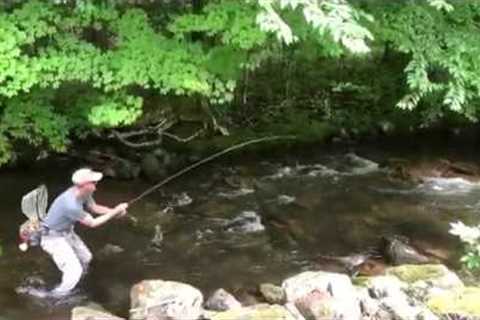 Fly Fishing the Doe River at Roan Mountain State Park