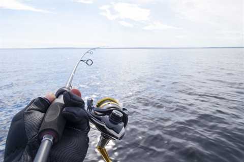 THE BEST FISHING MYRTLE BEACH CHARTER BOAT IN THE SOUTH CAROLINA GULF STREAM