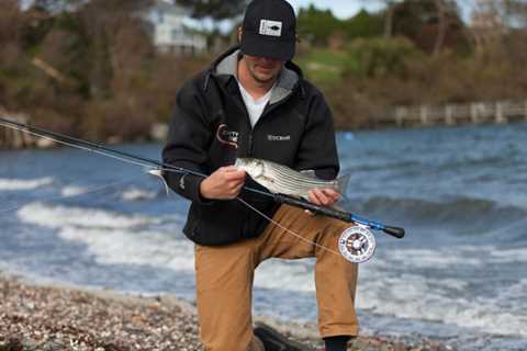 Fly Fishing For Schoolie Stripers