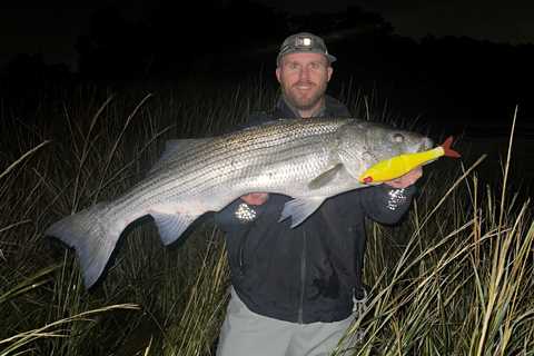 Fishing Glidebaits for Striped Bass