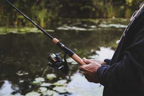 The Ultimate Guide to Choosing the Best Fishing Rods for Your Next Adventure