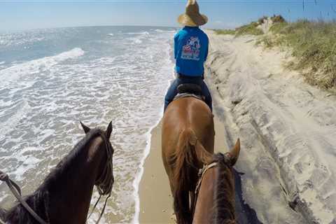 Exploring the Laguna Vista Lagoon System in South Padre Island, TX: Fly Fishing Hotspot