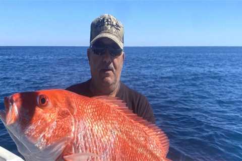 Spring Months for Snappers and Groupers Deep Sea Fishing in South Padre Island, TX