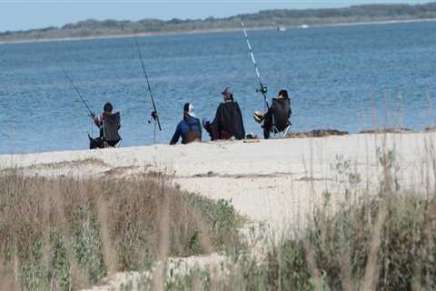 Exploring Local Regulations for Fly Fishing in South Padre Island, TX