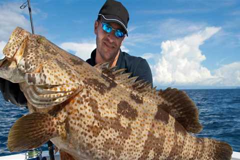 Offshore Fishing Charters: What You Need to Know