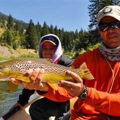 Skwala Stonefly Hatch - Fly Tying - Montana Trout Outfitters