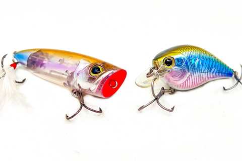 Top 5 Baits For May Bass Fishing!