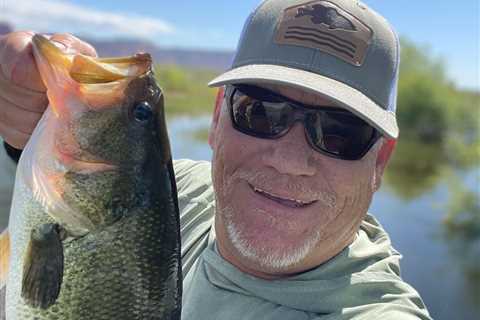 Late Summer Bass Fishing: Optimal Strategies and Lure Selection for Success