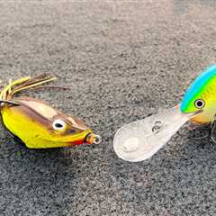 Top 5 Baits For July Bass Fishing!
