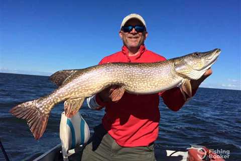 How to Go Pike Fishing: An Angler’s Guide