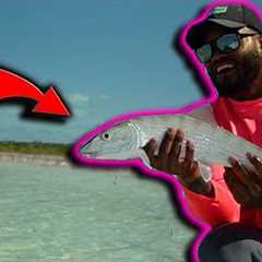 48hrs w/the GOATS of FLY Fishing guides | Fly Fishing the Bahamas