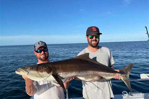 How to Go Fishing for Cobia: An Angler’s Guide