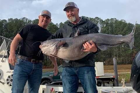 Angler Crushes Lake Sinclair Blue Cat Record with Massive 70+ Pounder