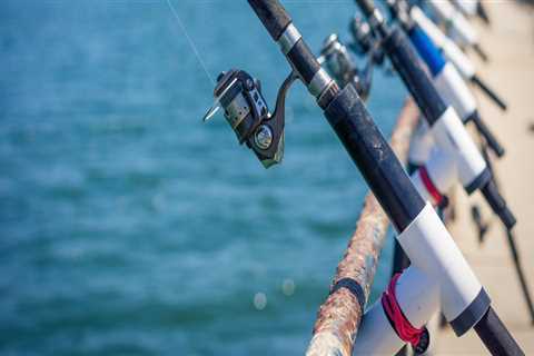 Exploring the World of Fishing Equipment Suppliers in Fort Mill, SC