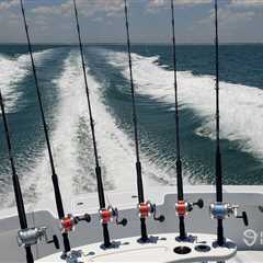 The Best Saltwater Fishing Rods: An Angler’s Guide for 2024