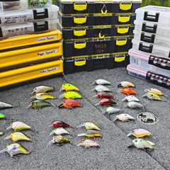 Everything You Need To Know About Squarebills and Shallow Crankbaits! (Full Seminar)