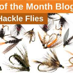 Bug of the Month: Soft Hackle Flies