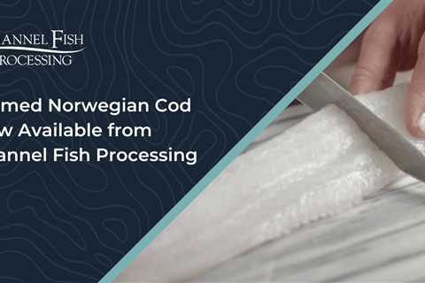 Farmed Norwegian Cod Now Available from Channel Fish Processing