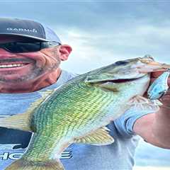 Tips for Catching Winter Spotted Bass