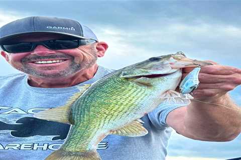 Tips for Catching Winter Spotted Bass