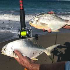 How to Go Pompano Fishing: A Complete Guide