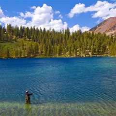 Best Lake Fishing Baits: An Angler’s Guide for 2024