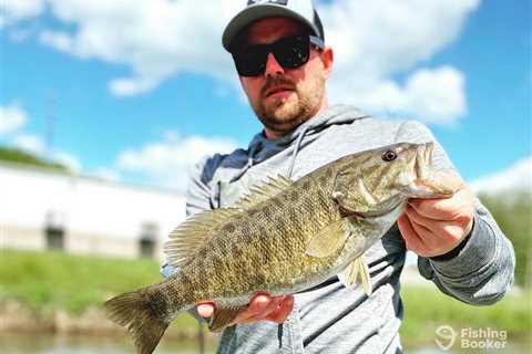 How to Go Largemouth Bass Fishing: The Complete Guide for 2024