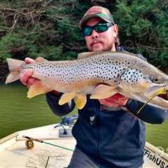 How to Go Fishing for Brown Trout: The Complete Guide