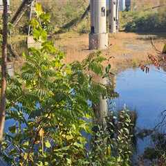 The Threats to Natural Resources in Northeast Tennessee