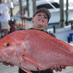 Record 126-day Gulf Red Snapper Season Announced in Florida