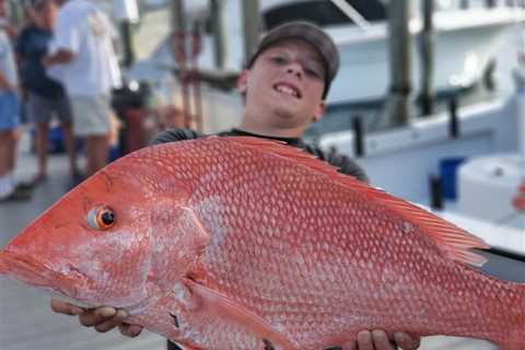Record 126-day Gulf Red Snapper Season Announced in Florida