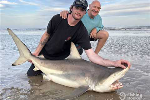 New Shore Shark Fishing Rules in Massachusetts for 2025