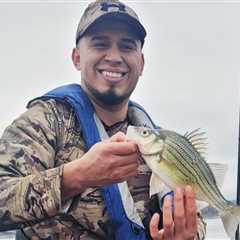 How to Go Fishing for Yellow Bass: The Complete Guide