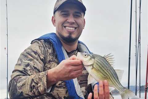 How to Go Fishing for Yellow Bass: The Complete Guide