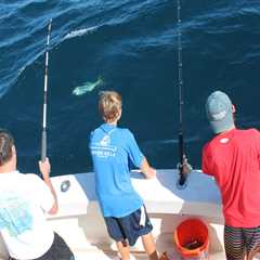 Chumming: Expert Tips to Catch More Fish