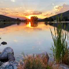 Beaver Creek Fishing: An Expert Angler’s Guide for 2025