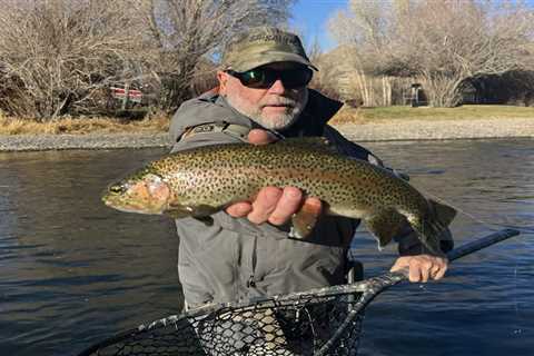 Fly Fishing for Trout on the Provo River: Three Sections You Need to Fish in 2026