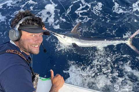 Virginia Beach Billfish Tournament 2026: Dates, Fees, Prizes, Rules, and How to Fish and Watch